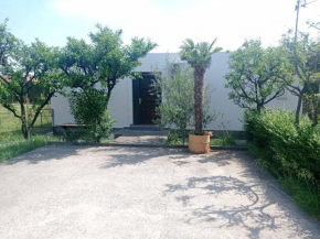 Apartman Obradovic